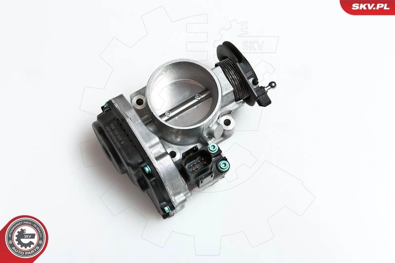 Throttle Body